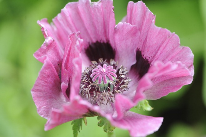 _20100621_095322_low