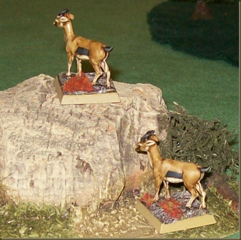 Image3 Image3