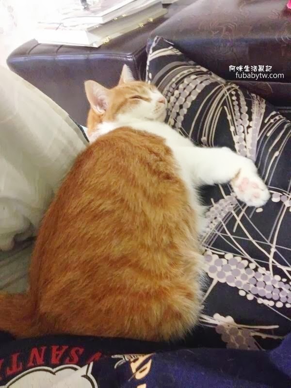 調整大小IMG_4579 調整大小IMG_4579