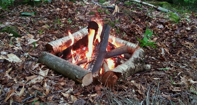 [20130608_1830553.jpg]