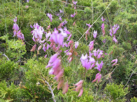 IMG_4967.JPG