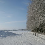 3-1-2010-059.jpg