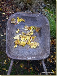 antique wheelbarrow with leaves