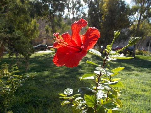 DSCN0392.jpg DSCN0392
