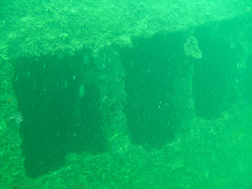 First dive we encountered a sunken ship, used to carry cargo.