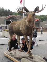 Kristiansand, Norway - The welcoming committee