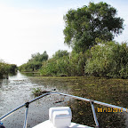 IMG_8173.JPG