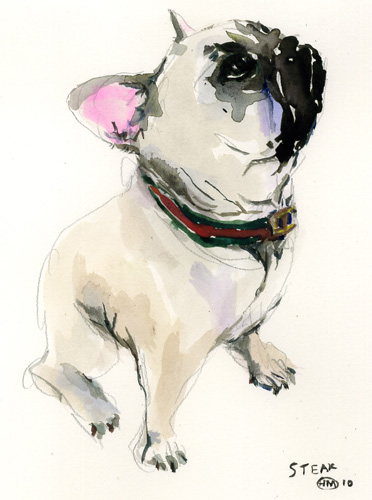 I would love a portrait like this of my best bud Alfie by the talented Happy Menocal ($300 for an 8'' x 10'', happymenocal.com) I would love a portrait like this of my best bud Alfie by the talented Happy Menocal ($300 for an 8'' x 10'', happymenocal.com)