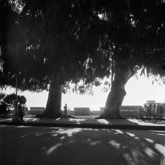 clip_image017 clip_image017