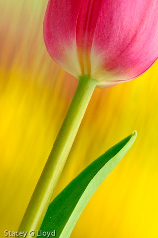 [Blog_20100225_1%255B8%255D.jpg]