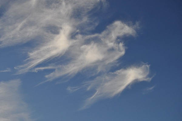 صور رائعة لغيوم تأخذ اشكالا مألوفة Eagle%252520cloud%25255B4%25255D