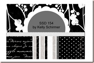 SSD sk154