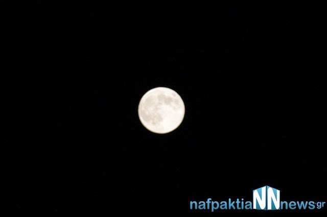 _MG_0686.jpg