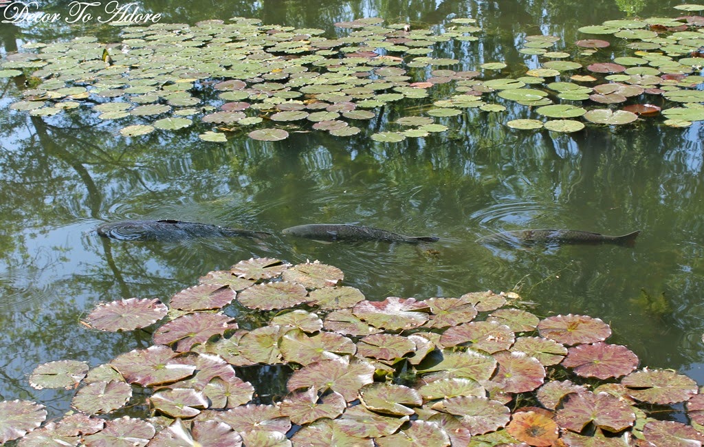 [Monet%2527s%2520Garden%2520102%255B4%255D.jpg]