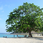 DSC_2114.JPG