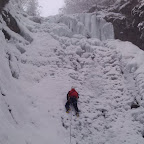 IMAG0095.jpg