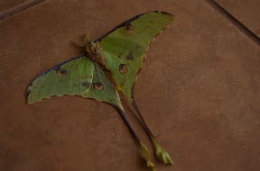 DSC_0001.jpg