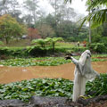 Scarecrows at Tamborine Mountain