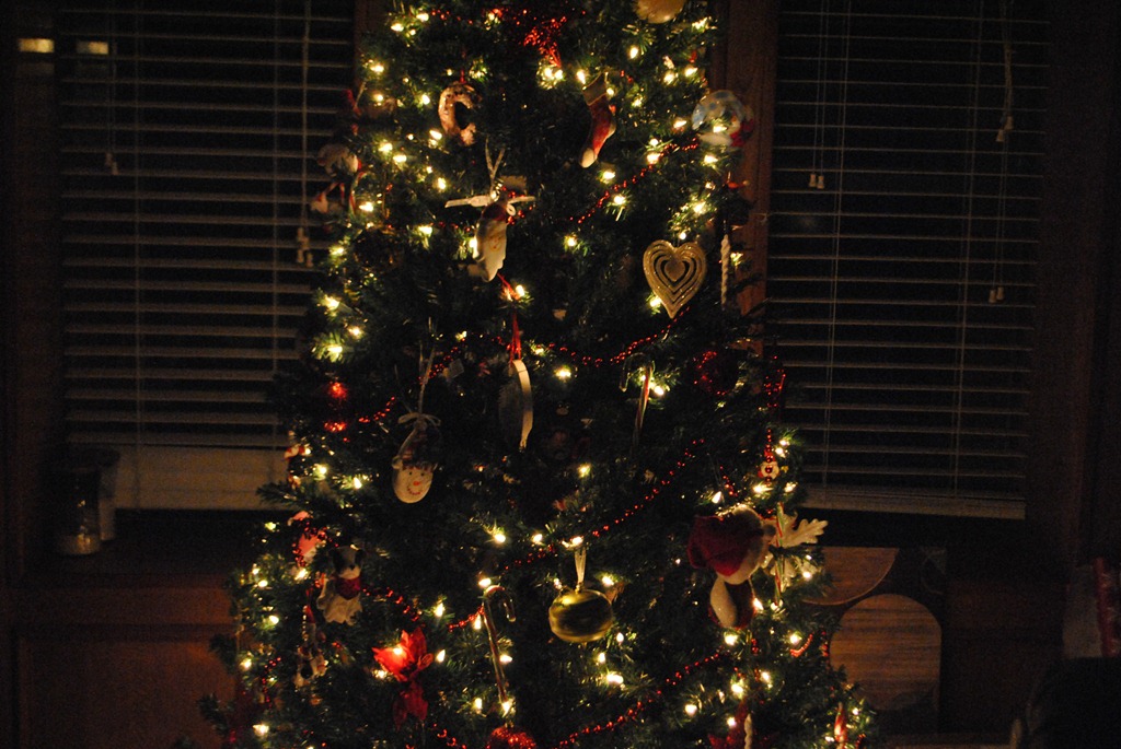 [DSC_7851%255B5%255D.jpg]