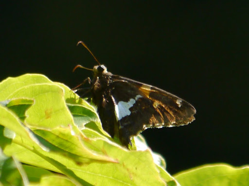 P1080090