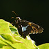 P1080090