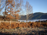 Arredores de Liñares de Bidul