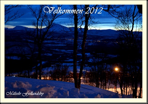 nyttår 2012