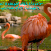Color of our thoughts LoRes.jpg