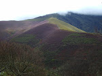 2008-04-21 A SEARA-COUREL 023.JPG