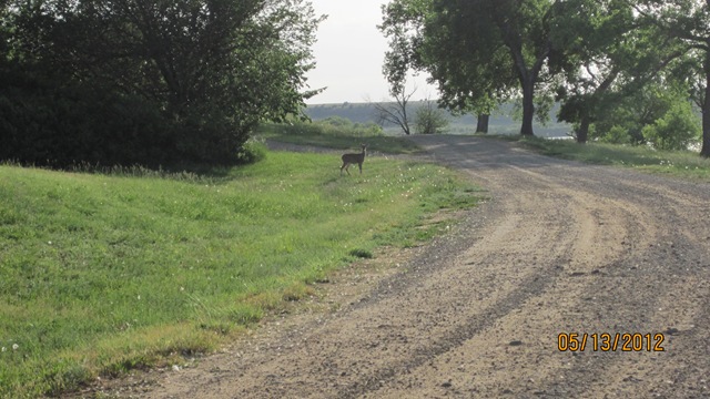 [IMG_05453.jpg]