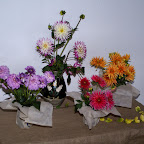 výstava sloupenských jiřin.jpg