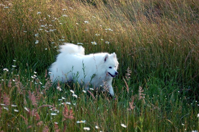 [DSC_6268%255B4%255D.jpg]