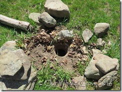 maypole hole maypole hole