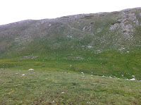 IMG_1341.JPG
