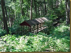 IMG_2694 IMG_2694