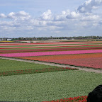 DSCN6828.JPG