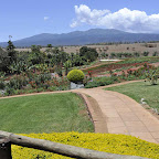Ngorongoro Farm House © Foto: Svenja Penzel | Outback Africa Erlebnisreisen