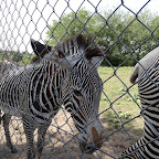 2012.08.20 - Wyprawa do Zoo