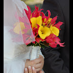 DSC_0208-1.jpg