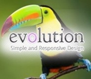 Evolution premium WordPress theme