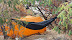 DSC04834.JPG