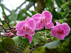 p1300354751(5).jpg