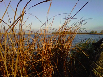 IMG00287-20111013-0842