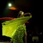 Document Name_3_216.JPG