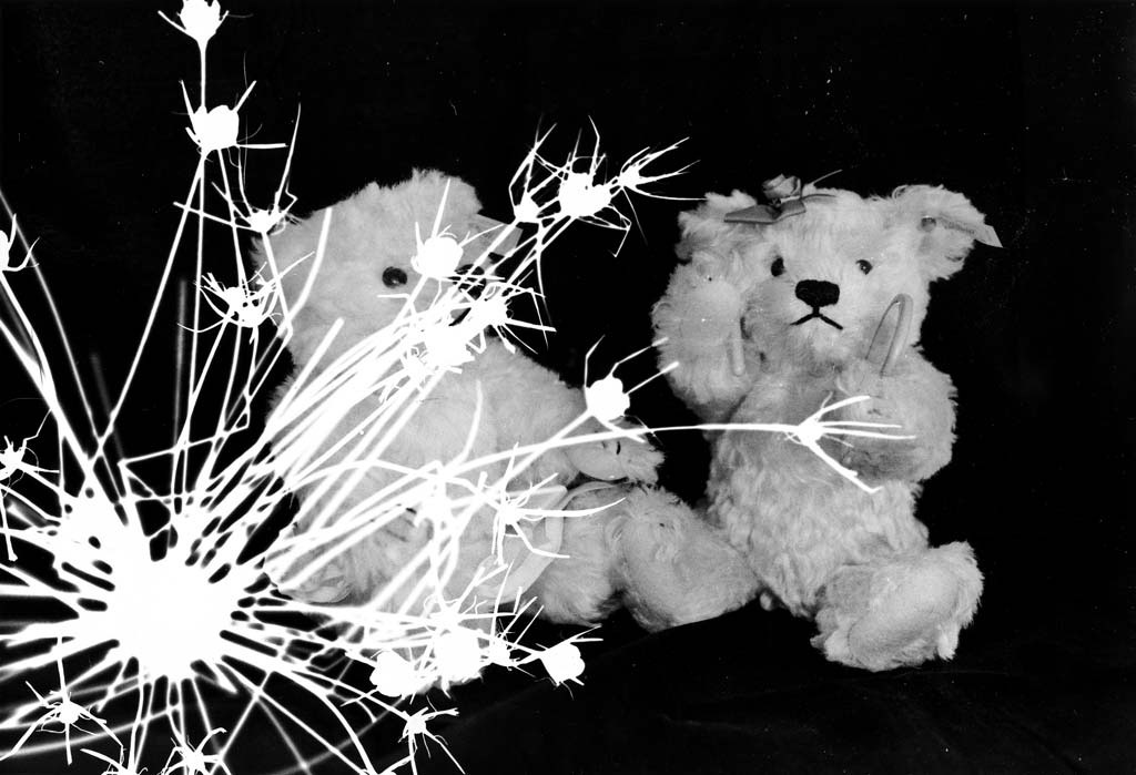 [Split-Toned-Prints---Bears-2-I%255B5%255D.jpg]