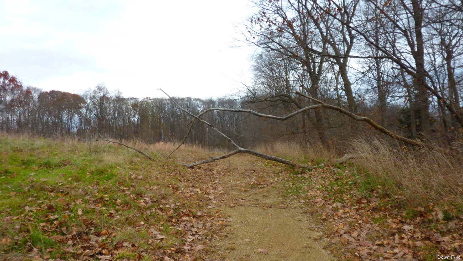 [nature%2520walk%2520southern%2520hillsPitts_003%255B4%255D.jpg]