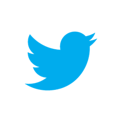 twitter-bird-light-bgs twitter-bird-light-bgs