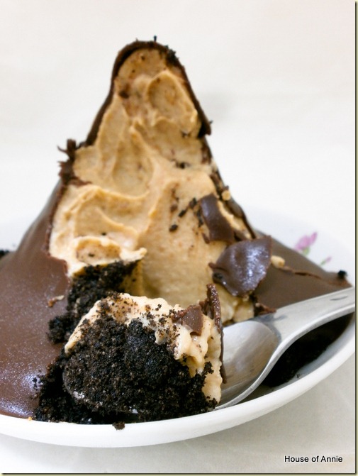 Peanut Butter Cup Pie