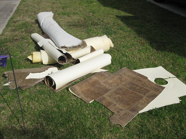[IMG_0584%255B3%255D.jpg]