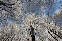 IMG_7418.jpg Photo